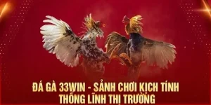 Cách Bắt Đầu với Đá Gà 33win